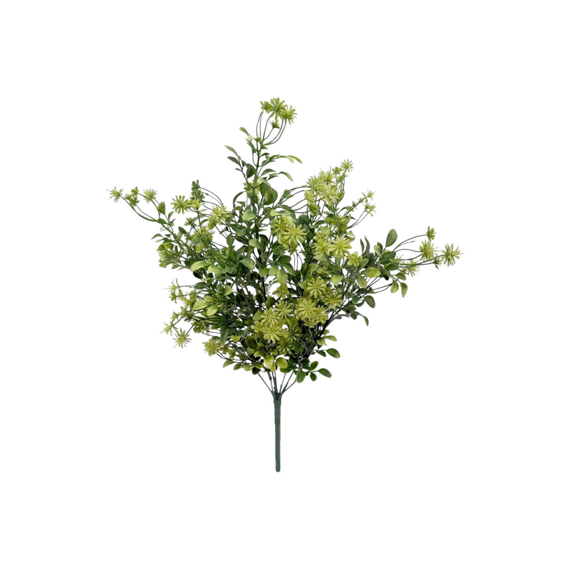 20.25" Blossom Boxwood Bush by Ashland®